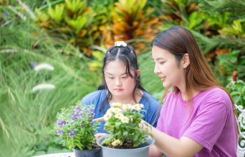 An Asian woman and her adult daughter with Down Syndrome sitting in the garden at the table with plants in pots and discussing them.